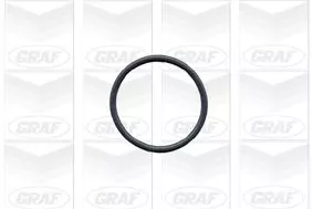 GRAF Water Pump, engine cooling (PA390)