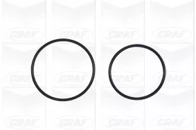 GRAF Water Pump, engine cooling (PA1036)