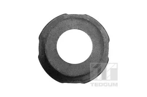 TEDGUM Mounting, leaf spring (00284896)