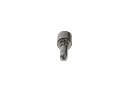 BOSCH Nozzle (0433171718)