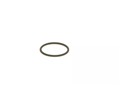 Seal Ring