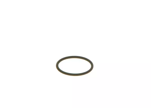 BOSCH Seal Ring (F00VC38002)