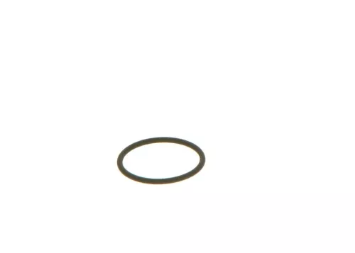 BOSCH Seal Ring (F00VC38002)
