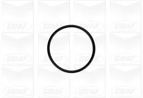 GRAF Water Pump, engine cooling (PA879)