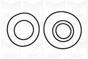 GRAF Water Pump, engine cooling (PA1010)