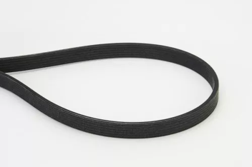 V-ribbed Belt