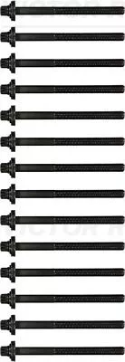 Cylinder Head Bolt Set