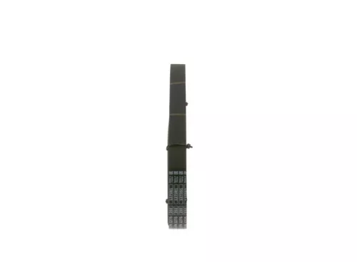BOSCH V-ribbed Belt (1987946244)
