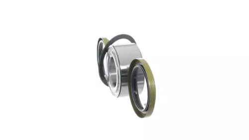 SKF Wheel Bearing Kit (VKBA3309)
