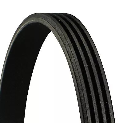 CONTINENTAL CTAM V-ribbed Belt (4PK875)