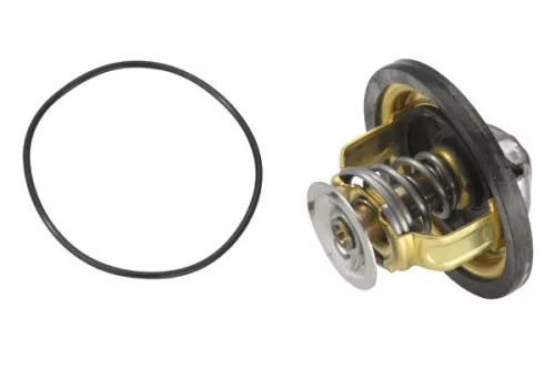 BorgWarner (Wahler) Thermostat, coolant (4174.79D)