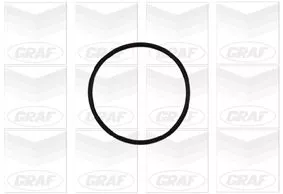 GRAF Water Pump, engine cooling (PA837)