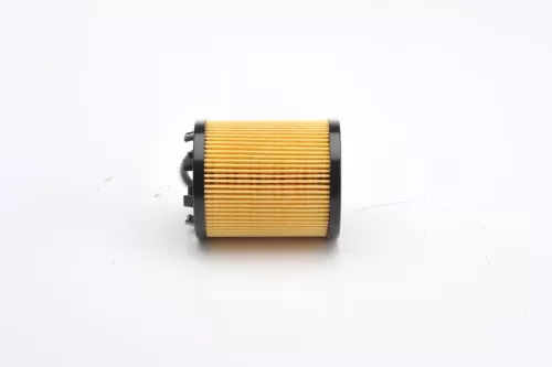 BOSCH Oil Filter (1457429256)