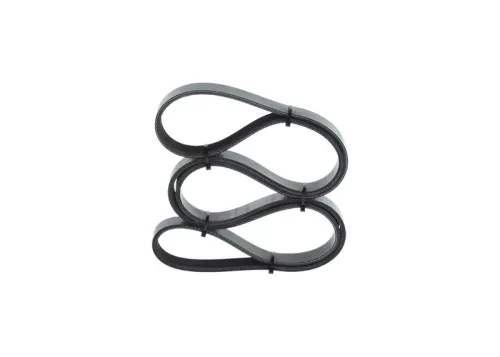 BOSCH V-ribbed Belt (1987946236)