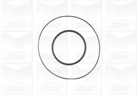 GRAF Water Pump, engine cooling (PA1108)