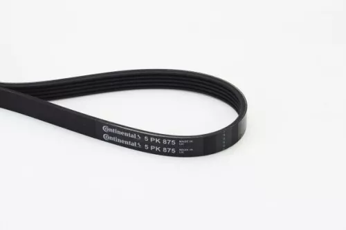 V-ribbed Belt