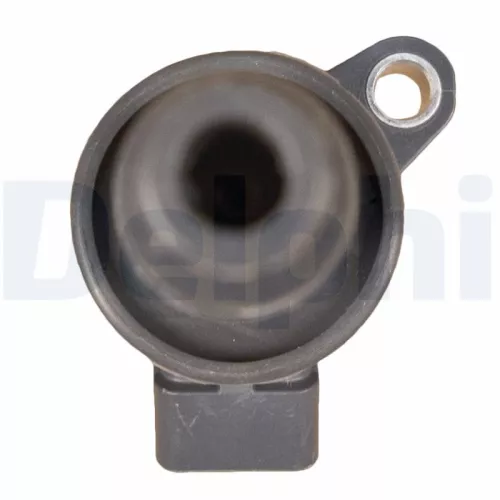 DELPHI Ignition Coil (GN10314-12B1)