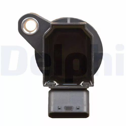 DELPHI Ignition Coil (GN10314-12B1)