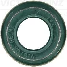 Seal Ring, valve stem