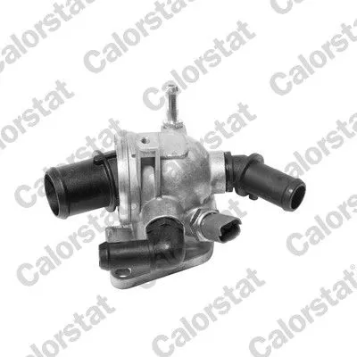 Thermostat, coolant