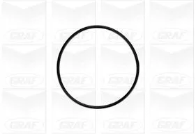 GRAF Water Pump, engine cooling (PA758)