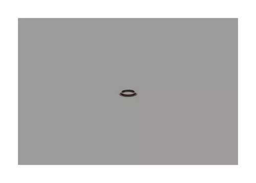 BOSCH Seal Ring, injector shaft (2430190002)