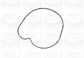 GRAF Water Pump, engine cooling (PA1107)