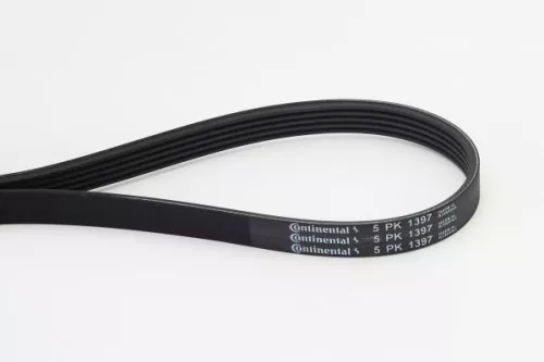 V-ribbed Belt