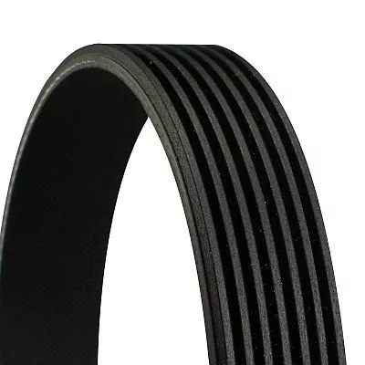 CONTINENTAL CTAM V-ribbed Belt (7PK1104)