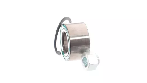 SKF Wheel Bearing Kit (VKBA3902)
