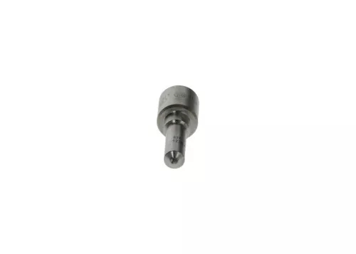 BOSCH Nozzle (0433171811)