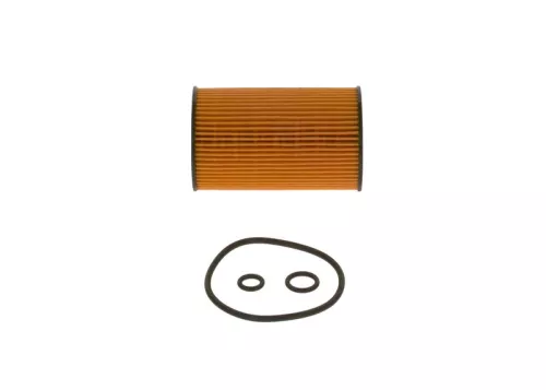 BOSCH Oil Filter (F026407023)