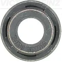 Seal Ring, valve stem