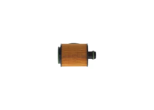 BOSCH Oil Filter (F026407095)