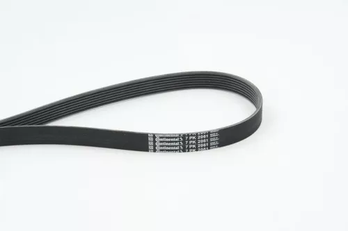 V-ribbed Belt