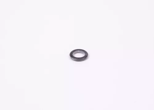 BOSCH Seal Ring (1900210105)