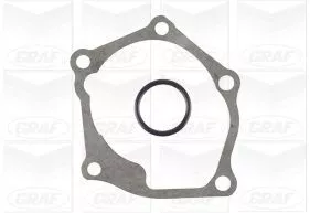 GRAF Water Pump, engine cooling (PA1145)