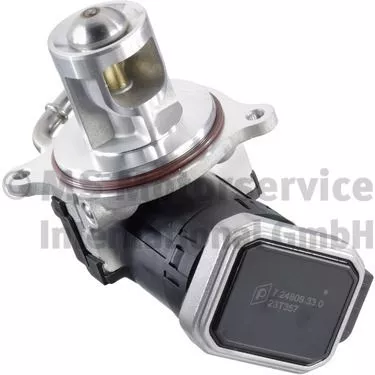 PIERBURG EGR Valve (7.24809.33.0)