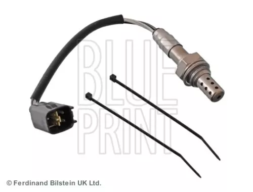 Oxygen Sensor