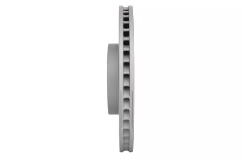 BOSCH Brake Disc (0986479C19)