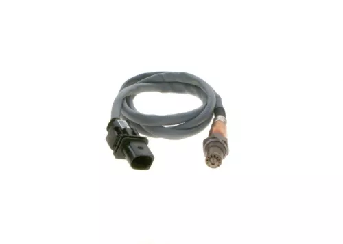 Oxygen Sensor
