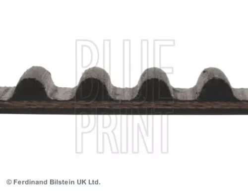BLUE PRINT Timing Belt (ADH27517)
