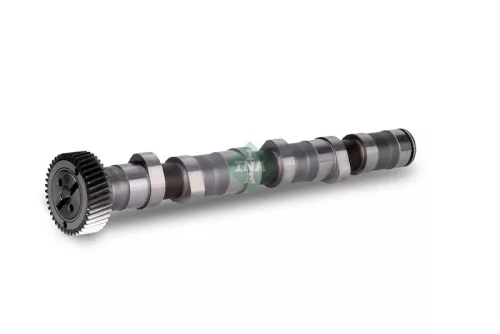 Schaeffler INA Camshaft (428015810)