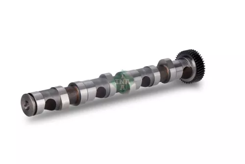 Schaeffler INA Camshaft (428015810)