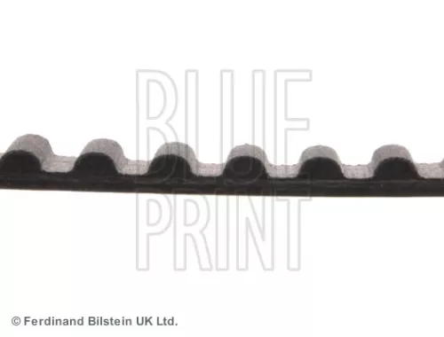 BLUE PRINT Timing Belt (ADC47508)
