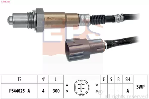 Oxygen Sensor