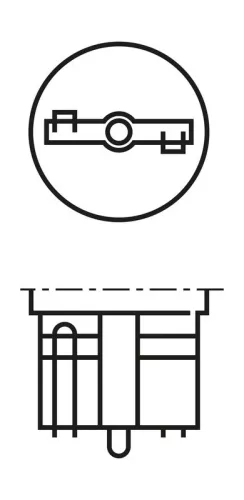 BOSCH Bulb, direction indicator (1987301049)