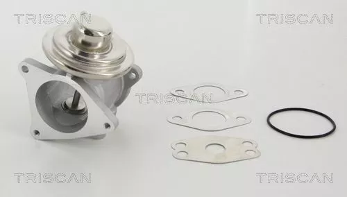 TRISCAN EGR Valve (881329111)