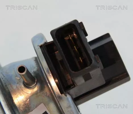 TRISCAN EGR Valve (881311002)