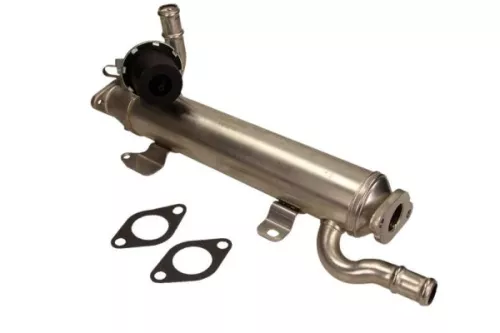 EGR Module